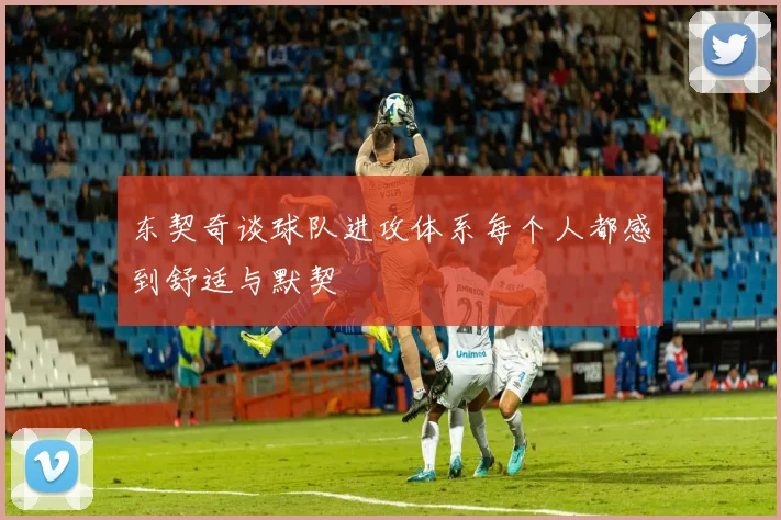 东契奇谈球队进攻体系每个人都感到舒适与默契