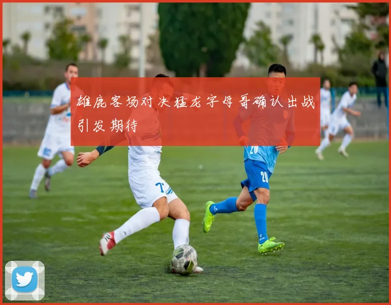 雄鹿客场对决猛龙字母哥确认出战引发期待